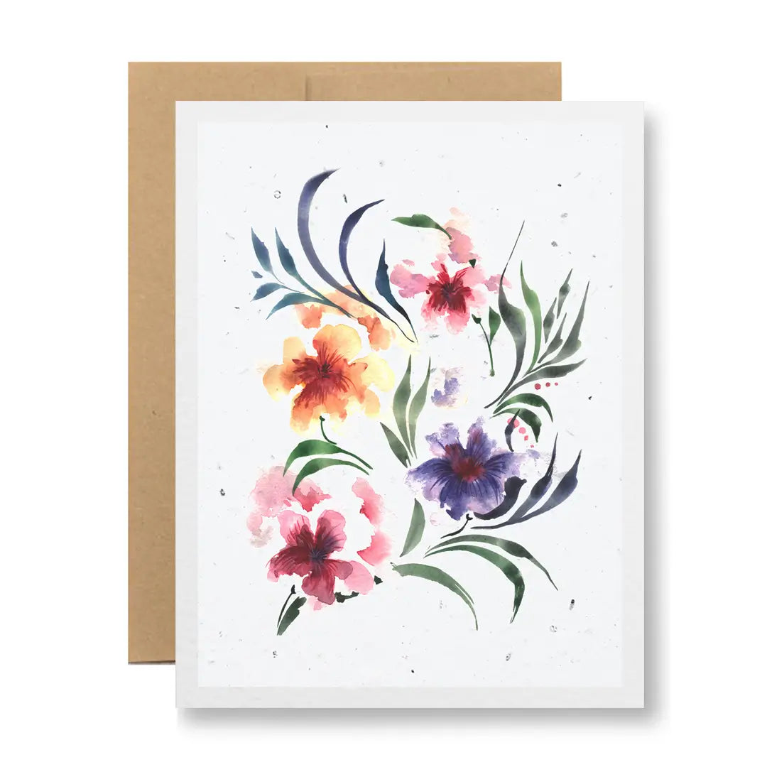 Seedy Greeting Cards (Various Options)