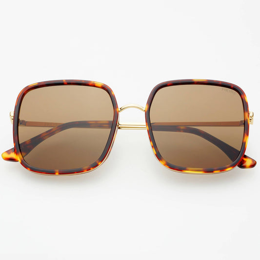 Cosmo Acetate Square Sunglasses, Dark Tortoise