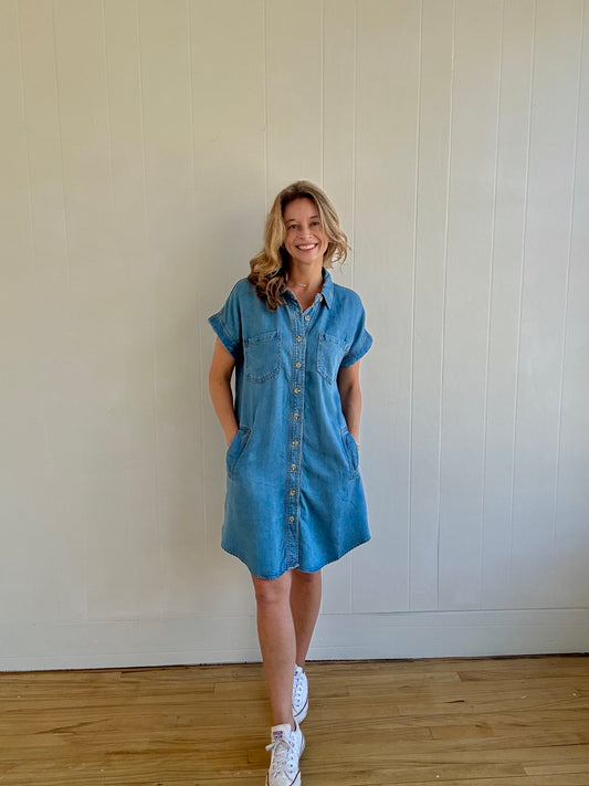 Lulu Denim Mini Dress