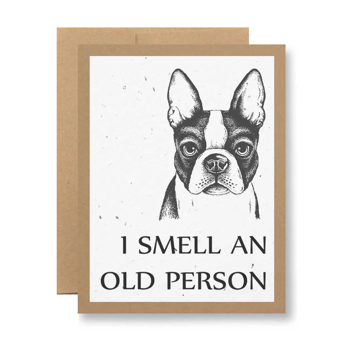 Seedy Greeting Cards (Various Options)