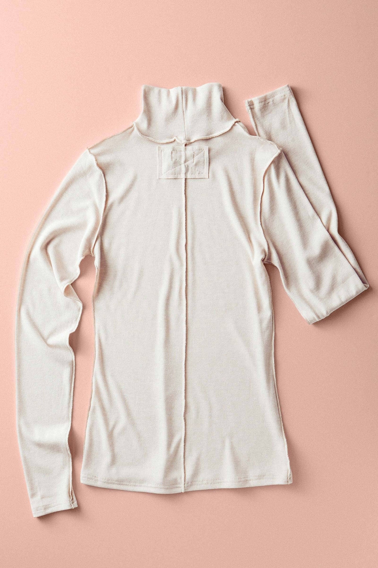 Dane Knit Turtleneck (Ivory)